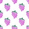 Purple grapes with green vines isolated on white background is in Seamless pattern