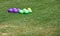 Purple and Green Bocce Balls in Grass