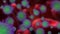 Purple and green cells of bacteria or covid-19 virus, cells randomly move and rotate against the red background of human
