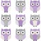 Purple Grey Cute Owl Collections