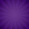 Purple grunge background texture. Sunburst, light rays effect. Explosion and radiate violet beams. Vector illustration