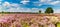 Purple heath with a blue sky with clouds