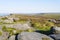 Purple heather and multi-coloured gritstone rocks in Derbyshire