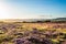 Purple heather over Ilkley moor