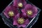 Purple hellebore flowers floating in a square vase of water.