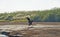 Purple heron flying over river bank