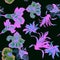 Purple Hibiscus Garden. Gray Flower Wallpaper. Pink Watercolor Painting. Green Floral Design. Seamless Print. Pattern Wallpaper.Tr