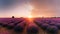 Purple Horizons: Sun-kissed Lavender Field at Dusk,