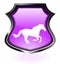 Purple horse shield