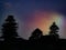 Purple hued rainbow sky behind the silhouettes of conifer trees