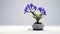 Purple Iris Bonsai Tree: Zen Buddhism Influence And Minimalist Belgian Saison Desktop Wallpaper