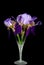 Purple iris bouquet in stemware