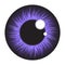 Purple iris eye realistic vector set design isolated on white