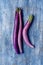 Purple japanese eggplants