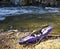 Purple Kayak on the River Bank