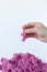 Purple kinetic sand in hand isolated on a white background