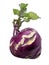 Purple kohlrabi isolated on white background. Clipping path