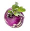 Purple kohlrabi isolated on white background. Clipping path