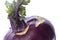 Purple Kohlrabi Macro