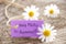 Purple Label With Life Quote Say Hello To Summer And Marguerite Blossoms