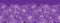 Purple lace flowers horizontal seamless pattern background border