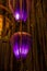 Purple lanterns at night surrounded by roots or lianas in the Ancient City of Hoi An, Vietnam