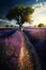 Purple lavender field in Provence at sunset. Lavender. generative ai. Stunning summer landscape in Provence, France with blooming