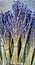 purple lavender flowering broom bunches bundled twigs flower flora