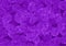 Purple leaf pattern