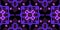 Purple Lilac Seamless Techno Lines Pattern.