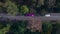 Purple limousine driving fast along the forest road. colored long car, highway