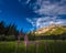 Purple Lupine flowers Pinnacle ridge San Juan Mountains