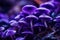 Purple macro mushrooms fungus. Generate Ai