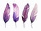Purple and magenta watercolor feathers. Bird feathers are hand-drawn.