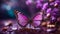 Purple Majesty, macro close-up butterfly beauty