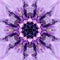 Purple Mandala Flower Center. Concentric Kaleidoscope Design