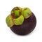 Purple Mangosteen Fruit