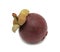 Purple Mangosteen, isolated