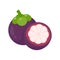 purple mangosteen sweet tropical fruit