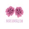 Purple marshmallow flower vector illustration
