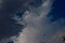 Purple Martin flying across Clouds over Canyon, Texas.