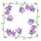 Purple meadow flowers of bluebell  wreath, watercolor hand drawn botanical sum