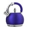 Purple metal teapot