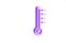 Purple Meteorology thermometer measuring icon isolated on white background. Thermometer equipment showing hot or cold