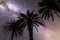 Purple Milky way falling stars palm trees