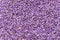 Purple mineral fertilizer, prolonged action with microelements, for application to the lawn