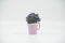 Purple miniature artificial flower in a pot