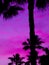 Purple minimalistic sunrise. Shadow palm trees and unicorn sky. Relax wallpaper