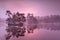 Purple misty sunrise over wild lake in forest