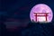purple moon back torii monster over stone and rock of cliff